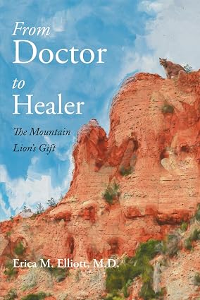 Cover of From Doctor to Healer