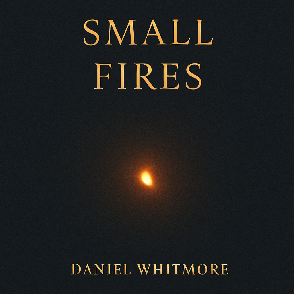 Cover of Small Fires by Daniel Whitmore